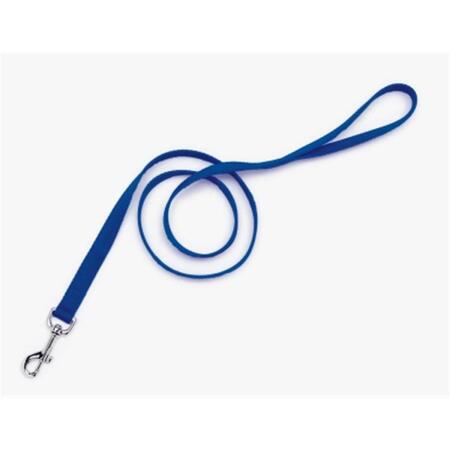 REGENT PRODUCTS Coastal Pet Products .75 in. Nylon Web Lead - Blue CO04422